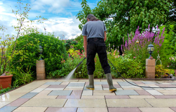 Animal Enclosure Cleaning in Bunker Hill, OR